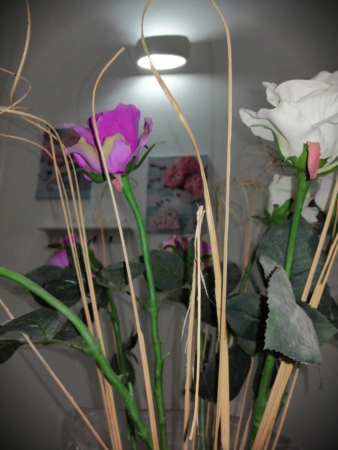 La Casa Di Chiara Daire Taviano  Dış mekan fotoğraf